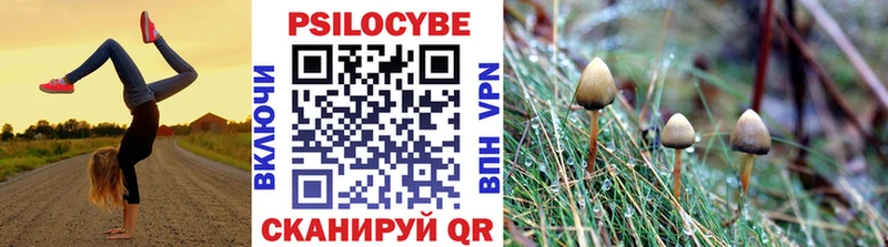 Псилоцибиновые грибы Psilocybe  где можно купить   Бугульма 